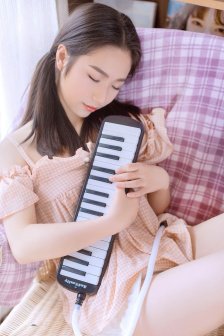 消失的大象